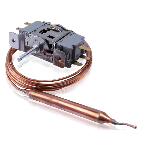Thermostat WE series