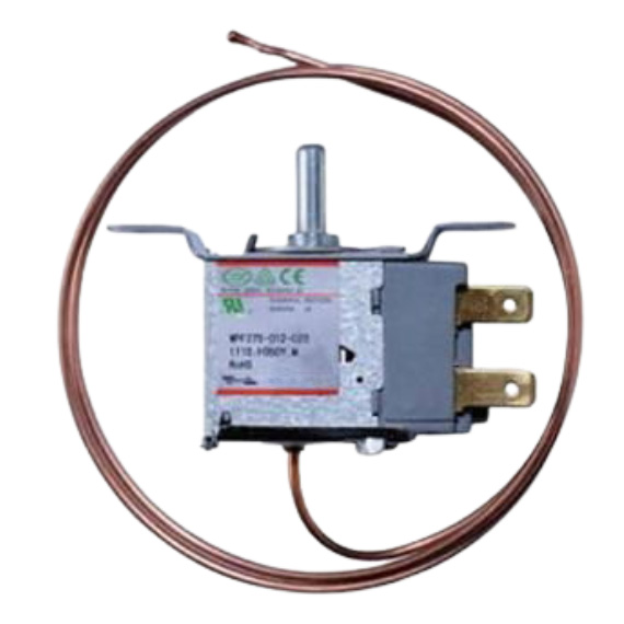 Thermostat WP series