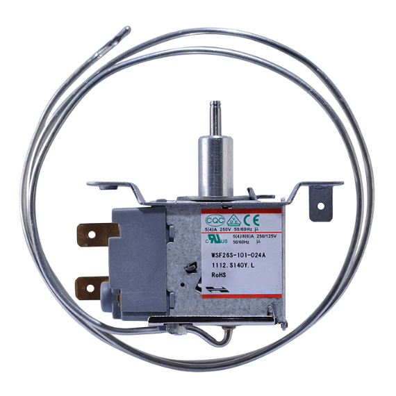 Thermostat WS series